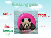 Unit 5 Why do you like pandas Section B(2a-2c)  -2021-2022学年七年级英语下册 人教版 课件（共39张PPT）