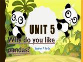 Unit 5 Why do you like pandas Section A(1a—2c) -2021-2022学年七年级英语下册 人教版 课件（共22张PPT）
