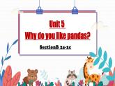 Unit 5 Why do you like pandas SectionB 2a-2c -2021-2022学年七年级英语下册 人教版 课件（共20张PPT）