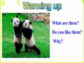Unit 5 Why do you like pandas Section A (1a--2c) -2021-2022学年七年级英语下册 人教版 课件（共28张PPT）