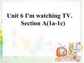 Unit 6 I'm watching TV Section A 1a-1c -2021-2022学年七年级英语下册 人教版 课件（共21张PPT）