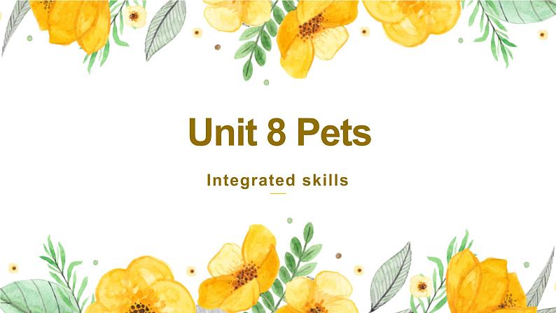 牛津译林版英语七下Unit 8 Pets第五课时Integrated skills课件+教案01