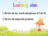 人教版英語(yǔ)八年級(jí)下冊(cè) Review of Unit 10 教學(xué)課件