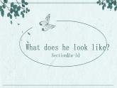 Unit 9 What does he look like Section A（1a-1c）-2021-2022学年七年级英语下册 人教版 课件（共28PPT）