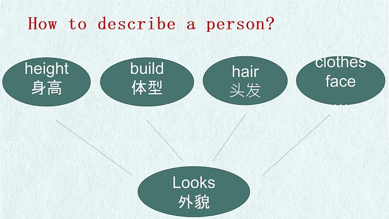 Unit 9 What does he look like Section A（1a-1c）-2021-2022学年七年级英语下册 人教版 课件（共28PPT）第2页