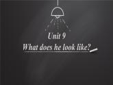 Unit 9 What does he look like Section A-2021-2022学年七年级英语下册 人教版 课件（共30张PPT）