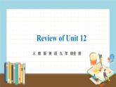 人教版英语九年级全册 Review of Unit 12 教学课件