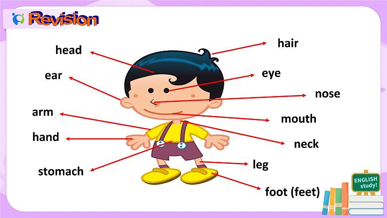 Unit1 What's the matter.SectionB(3a-selfcheck)课件+教案+练习03