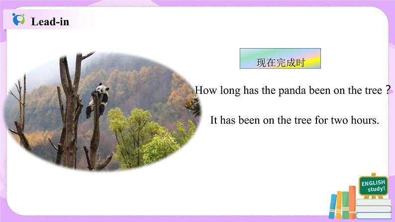 Unit 10 I’ve had this bike for three years （第3课时）课件（送教案练习）02