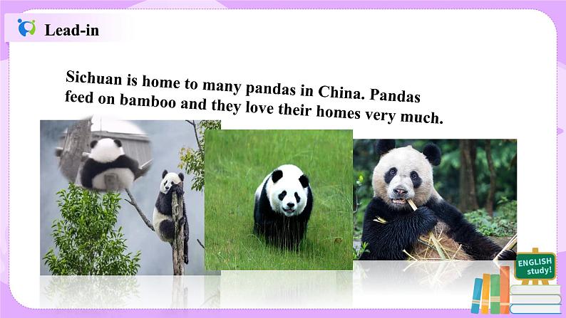 Unit 7 What's the highest mountain in the world？（第5课时）课件（送教案练习）02