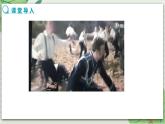 Unit 4 A good read Reading课件+教案