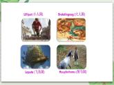Unit 4 A good read Reading课件+教案