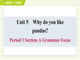 人教版七年级下册英语 Unit5 Period 3 Section A Grammar Focus 习题课件