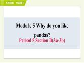 人教版七年级下册英语 Unit5 Period 5 Section B（3a-3b） 习题课件