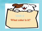 Starters Unit 3 What color is it课件2