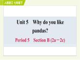 人教版七年级下册英语 Unit5 Period 5 Section B (2a－2c) 习题课件