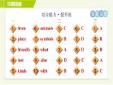 人教版七年级下册英语 Unit5 Period 5 Section B (2a－2c) 习题课件