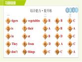 人教版七年级下册英语 Unit5 Period 2 Section A (2d－3c) 习题课件