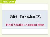 人教版七年级下册英语 Unit6 Period 3 Section A Grammar Focus 习题课件
