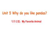 Unit 5 Why do you like pandas 写作课 -2021-2022学年七年级英语下册 人教版 课件（共23张PPT）