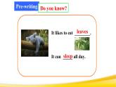 Unit 5 Why do you like pandas 写作课 -2021-2022学年七年级英语下册 人教版 课件（共23张PPT）