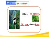 Unit 5 Why do you like pandas 写作课 -2021-2022学年七年级英语下册 人教版 课件（共23张PPT）
