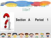 Unit 9 What does he look like Section A Period 1-2021-2022学年七年级英语下册 人教版 课件（共19张PPT）