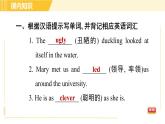 外研版八年級(jí)下冊英語 Module5 Unit 2 Tintin has been popular for over eighty years. 習(xí)題課件