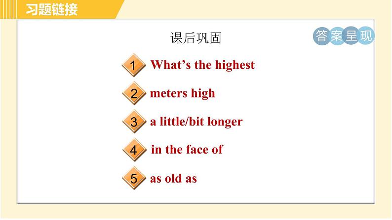 人教版八年级下册英语 Unit7 Period 3 Section A ( Grammar Focus-4c ) 习题课件03