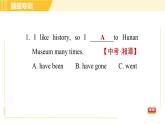 人教版八年级下册英语 Unit9 Period 3 Section A (Grammar Focus-4c) 习题课件