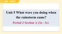 初中英语人教新目标 (Go for it) 版八年级下册Unit 5 What were you doing when the rainstorm came?Section A习题课件ppt