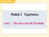 外研版八年级下册英语 Module2 Unit 2 They have seen the Pyramids. 习题课件