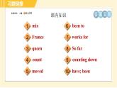 外研版八年级下册英语 Module2 Unit 2 They have seen the Pyramids. 习题课件