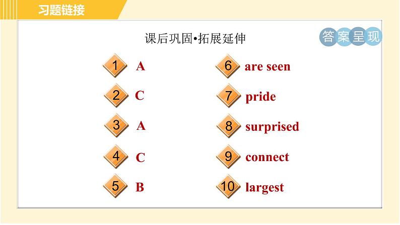 冀教版八年级下册英语 Unit7 Lesson 41 A Class of the World 习题课件第4页