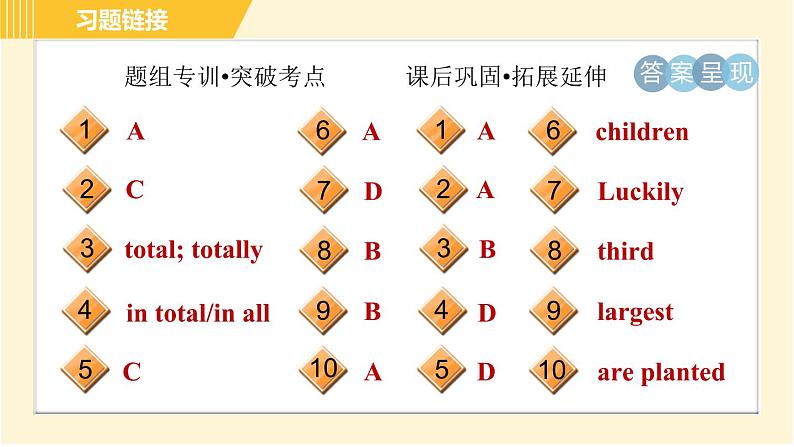 冀教版八年级下册英语 Unit7 Lesson 38 The World Is a Big Place 习题课件03