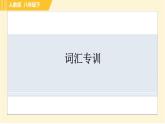 人教版八年級(jí)下冊(cè)英語 專項(xiàng)訓(xùn)練 詞匯專訓(xùn) 習(xí)題課件