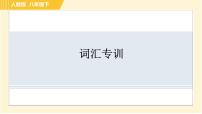 人教版八年级下册英语 专项训练 词汇专训 习题课件