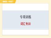 冀教版八年級下冊英語 專項訓練 詞匯專訓 習題課件