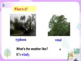 Unit5 What were you doing when the rainstorm came. SectionA(3a-3c)课件+教案+练习