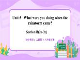 Unit5 What were you doing when the rainstorm came. SectionB(2a-2e)课件+教案+练习