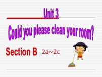 人教新目标 (Go for it) 版八年级下册Unit 3 Could you please clean your room?Section B授课ppt课件