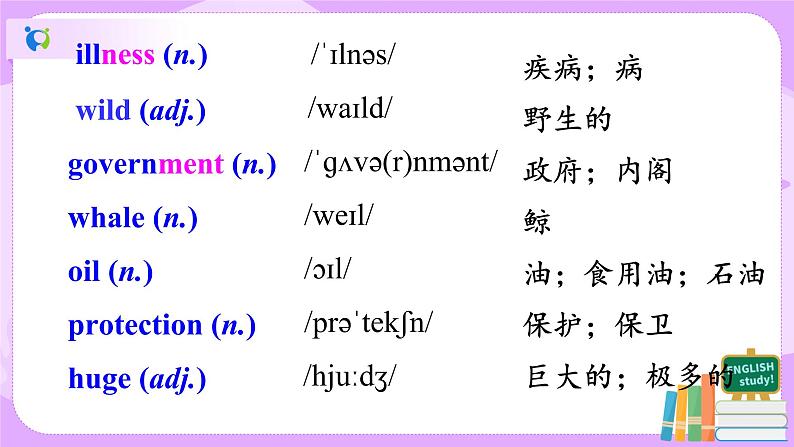 Unit7.What's the highest mountain in theworld.Section B (2a-2e)课件+教案+练习+音视频04