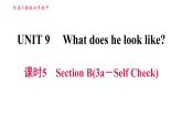 人教版七年级下册英语 Unit9 课时5　Section B (3a－Self Check) 习题课件
