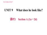 人教版七年级下册英语 Unit9 课时1   Section A (1a-2d) 习题课件