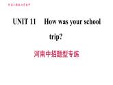 人教版七年级下册英语 Unit11 河南中招题型专练 习题课件