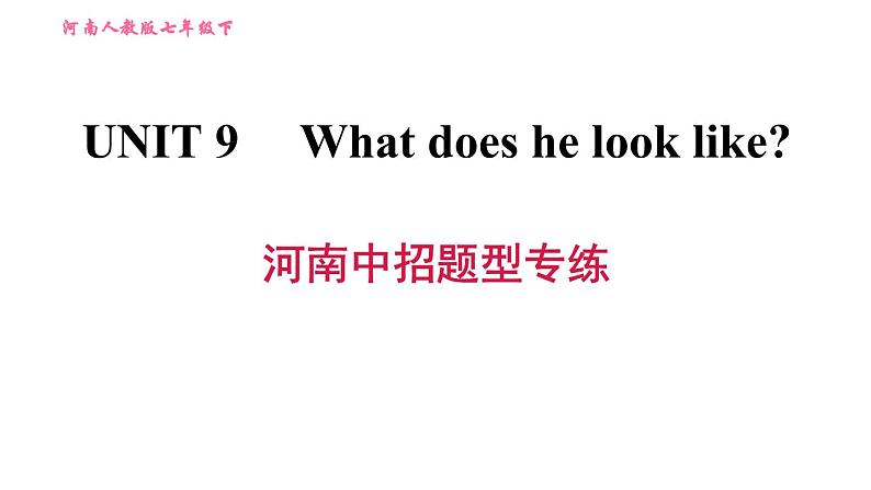 人教版七年级下册英语 Unit9 河南中招题型专练 习题课件第1页