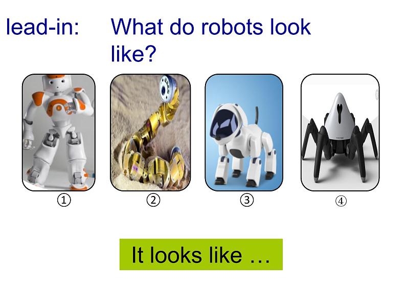 Unit7 Will people have robots Section B (2a-2e)-2021-2022学年八年级英语上册 人教版 课件（共20张PPT）02