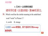 人教版八年級(jí)下冊(cè)英語 期末專項(xiàng)訓(xùn)練 習(xí)題課件