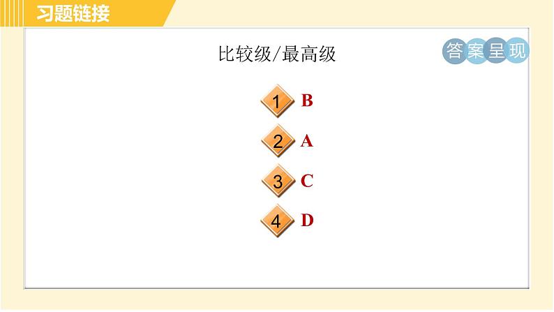 人教版八年级下册英语 专项训练 语法专训 习题课件第8页