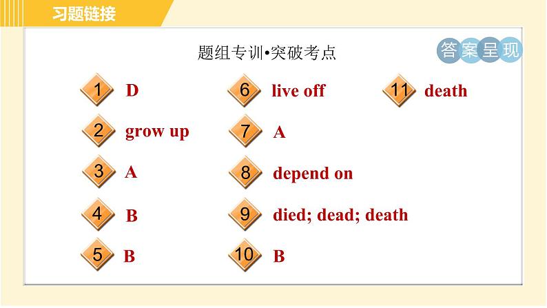 冀教版八年级下册英语 Unit8 Lesson 47 Connected to Nature 习题课件第3页